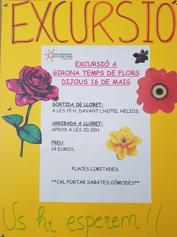 Excursió a Girona Temps de Flors Excursió a Girona Temps de Flors